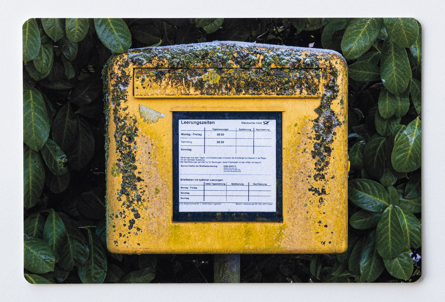 A German postbox covered by moss and some frost.